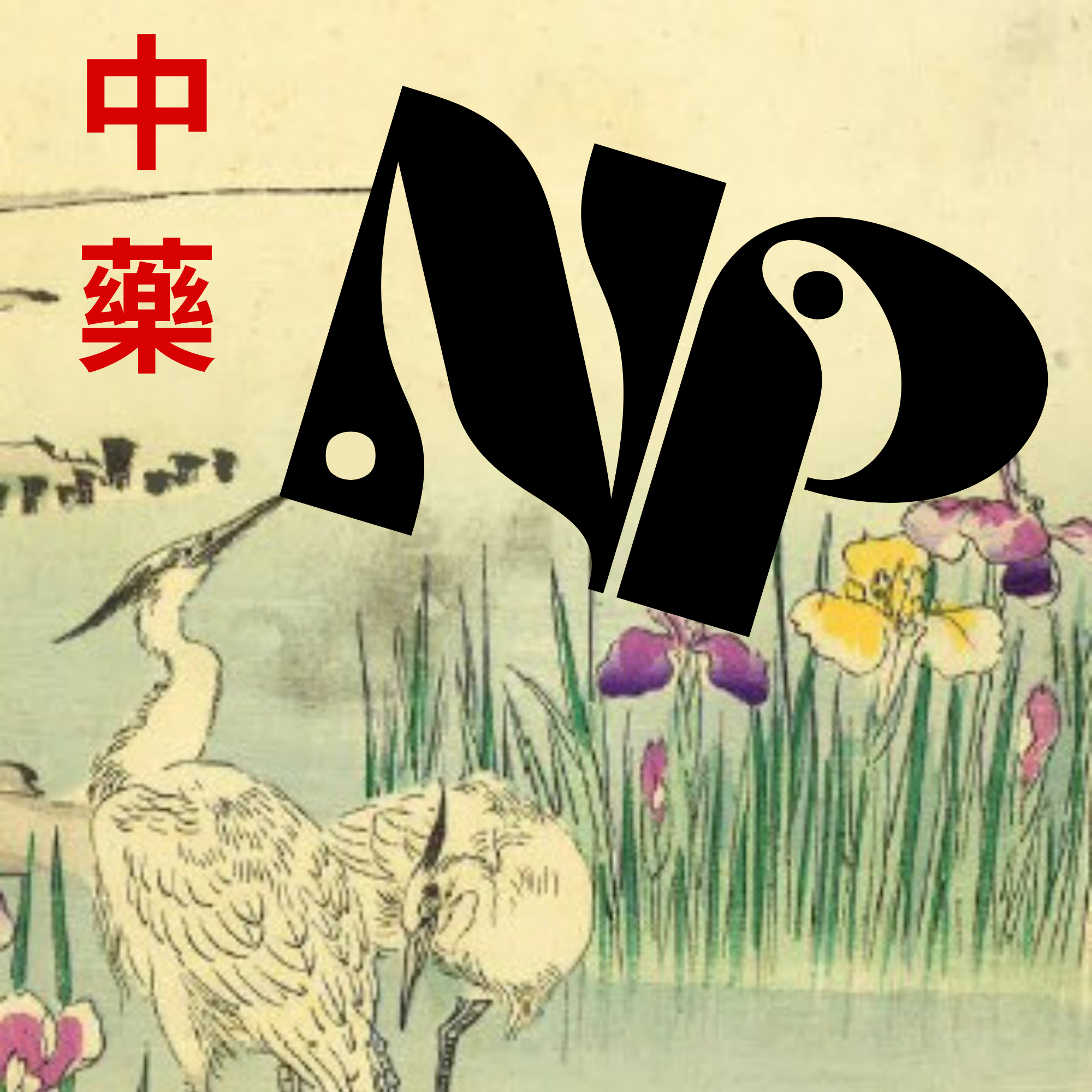 LOGO-acupuncture-medecinechinoise
